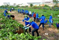 Mức chi ngân sách cho công tác bảo vệ môi trường